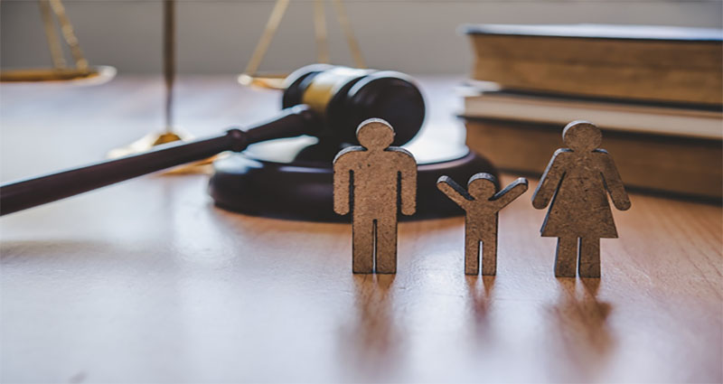 Essential Roles of a Family Law Lawyer